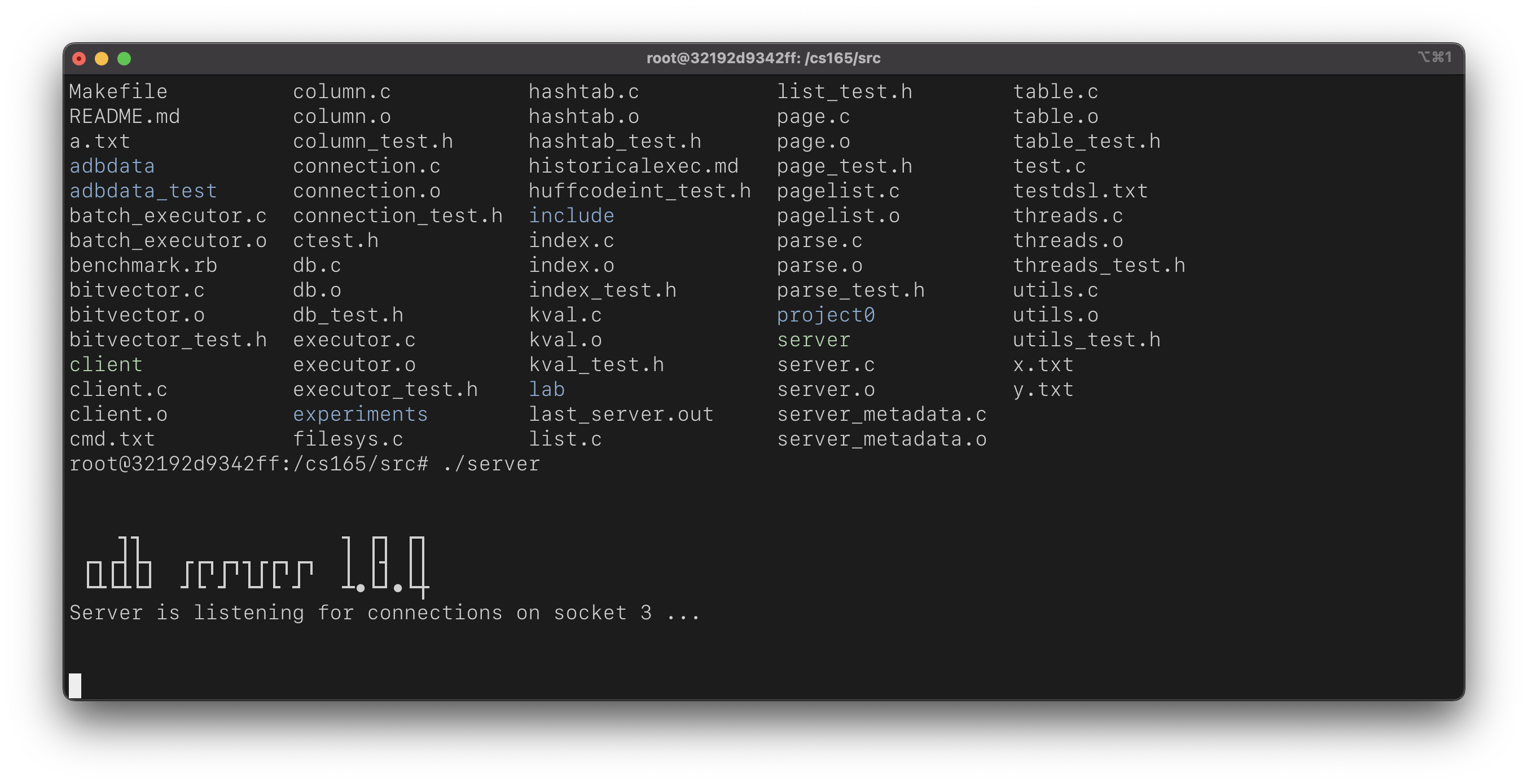 server metadata structure